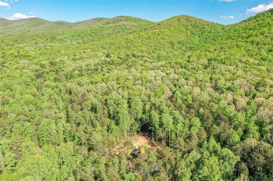 Natural landscape and outdoor views near  in Ellijay (Image 49).