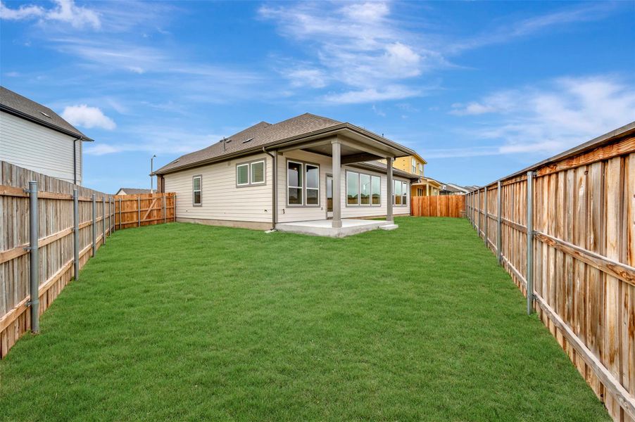 Back - Yard