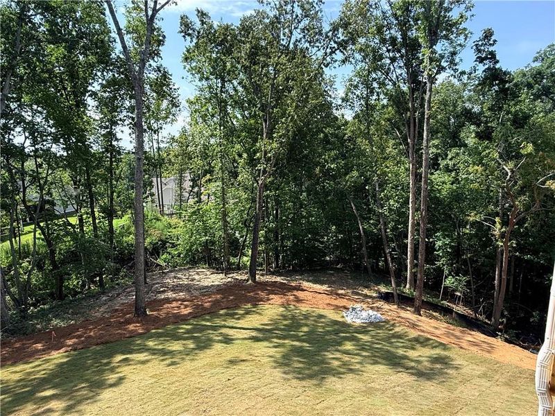 Natural landscape and outdoor views near in Flowery Branch (Image 41). Natural landscape and outdoor views near in Flowery Branch (Image 41).