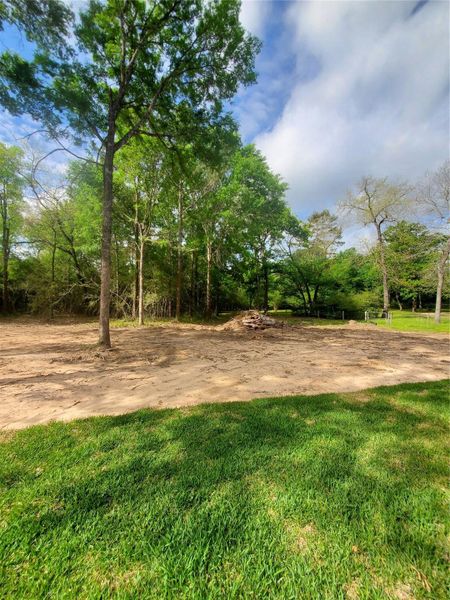 Natural landscape and outdoor views near in Hockley (Image 37). Natural landscape and outdoor views near in Hockley (Image 37).
