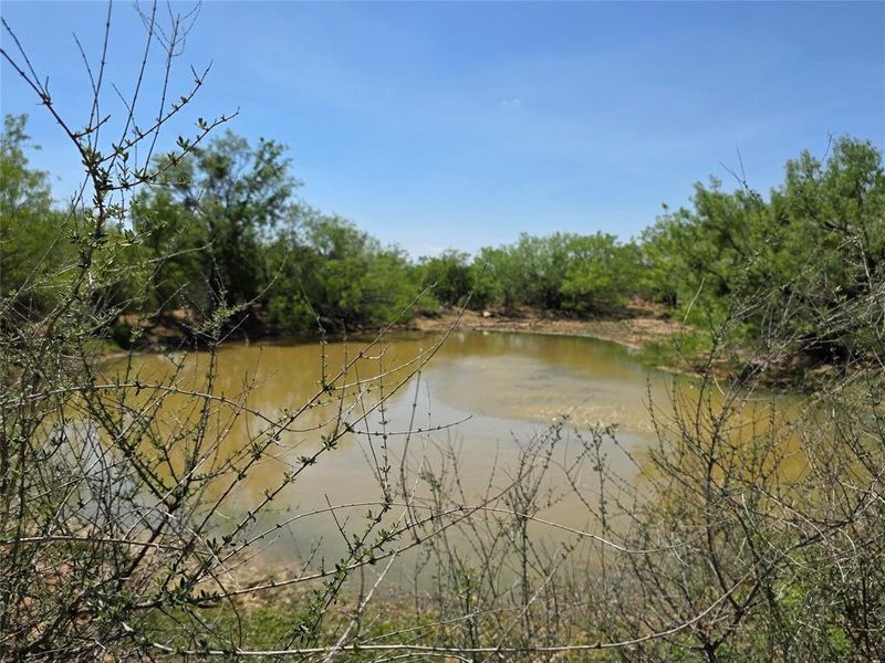 Natural landscape and outdoor views near  in San Saba (Image 15).