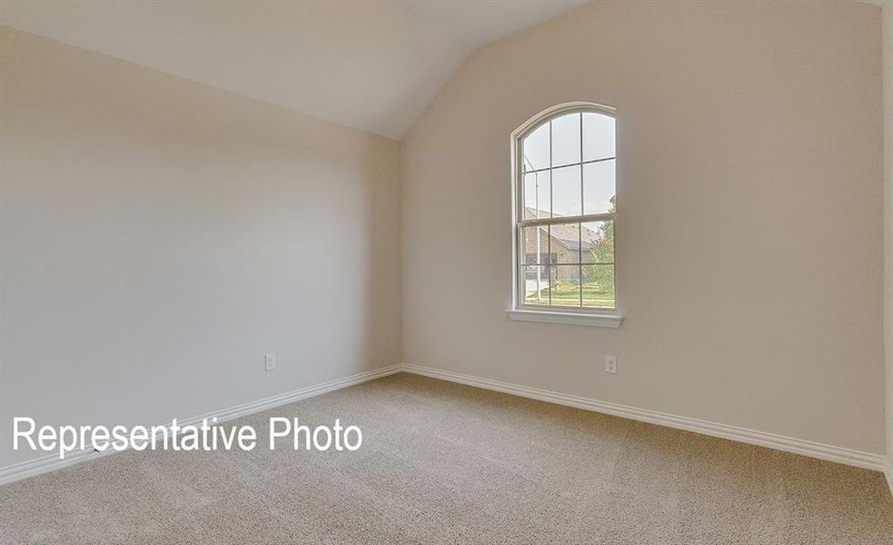 Carpeted empty room with lofted ceiling