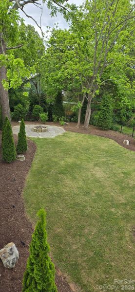 Natural landscape and outdoor views near  in Asheville (Image 40).
