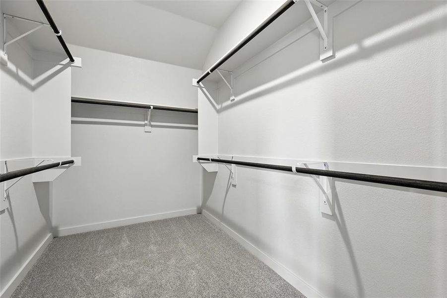 Spacious closet featuring carpet floors Spacious closet featuring carpet floors