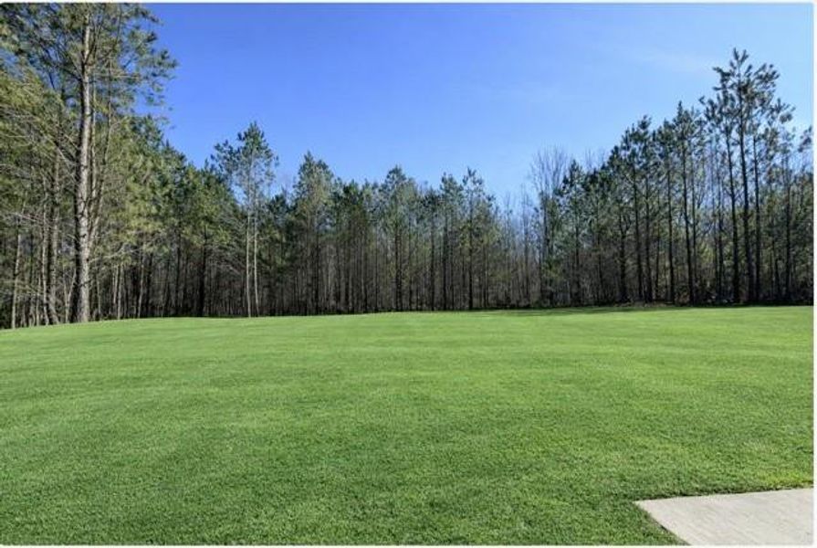 Natural landscape and outdoor views near  in Cumming (Image 7).