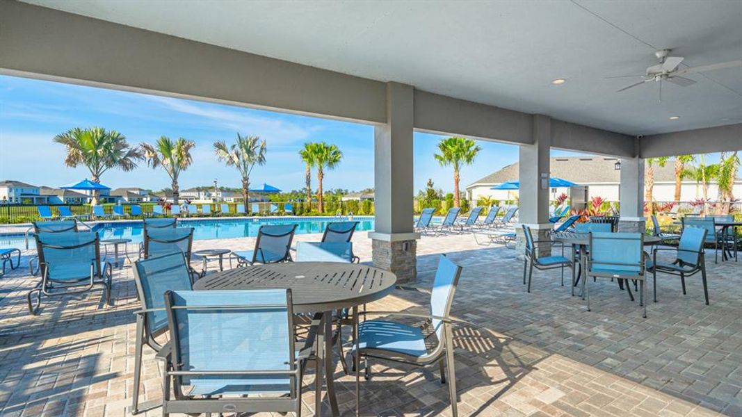 Community amenities in Indigo Creek, Apollo Beach (Image 19).