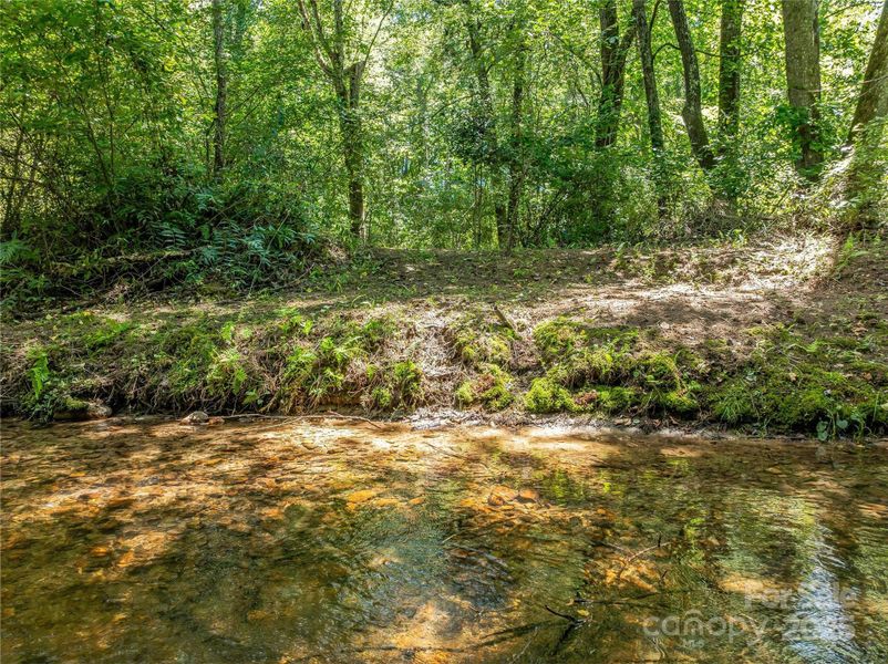 Natural landscape and outdoor views near  in Arden (Image 29).