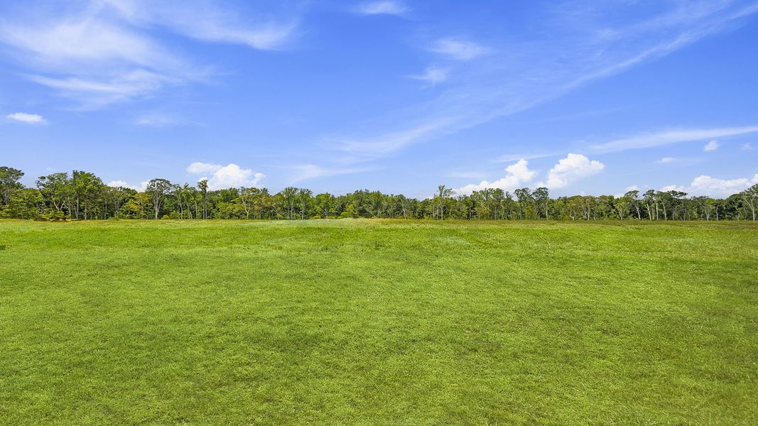 Natural landscape and outdoor views near Cloverdale Hills in Piedmont (Image 31). Natural landscape and outdoor views near Cloverdale Hills in Piedmont (Image 31).