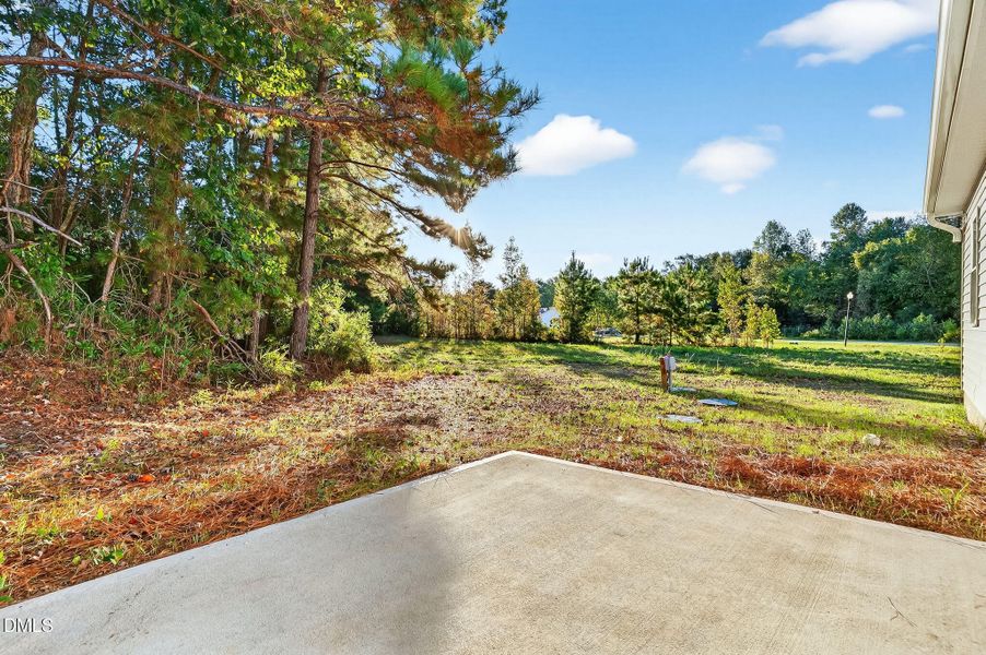 25-web-or-mls-_DSC2841