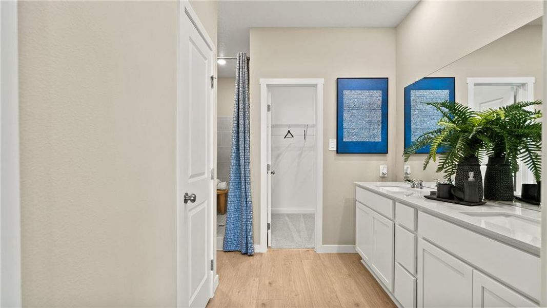 Furnished interior view inside a new home in , Clermont (Image 24).