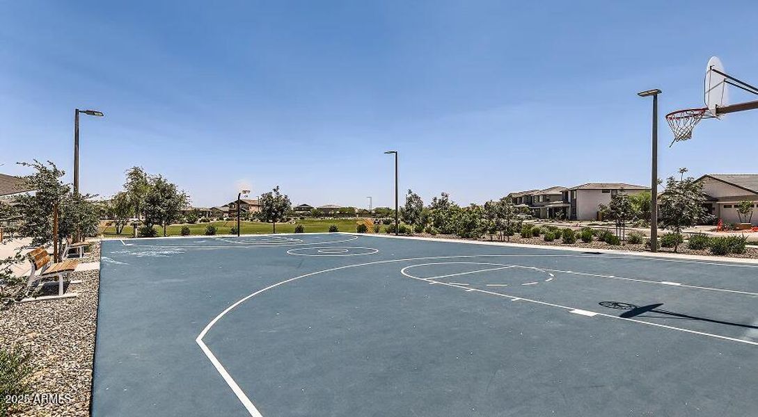 Basketball Court Basketball Court