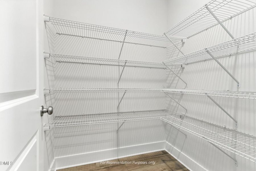 Holly Unurnished with gourmet and messy