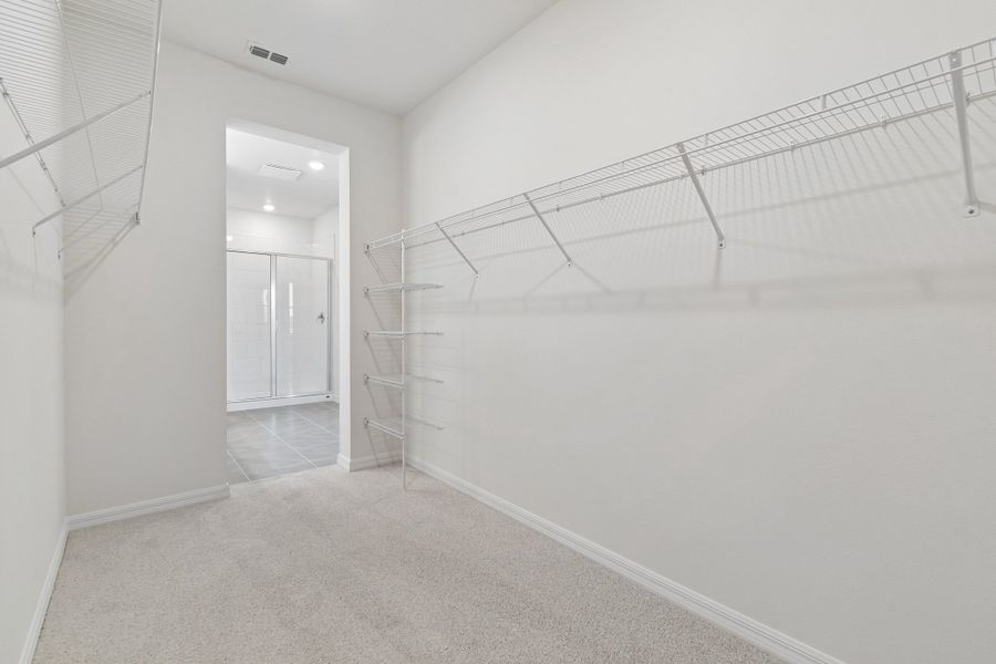 Owner's Bath