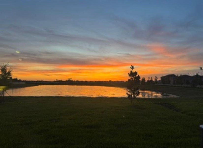 Natural landscape and outdoor views near Prosperity Lakes in Parrish (Image 53).