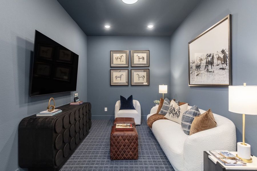 Representative Entertainment Room - some options shown