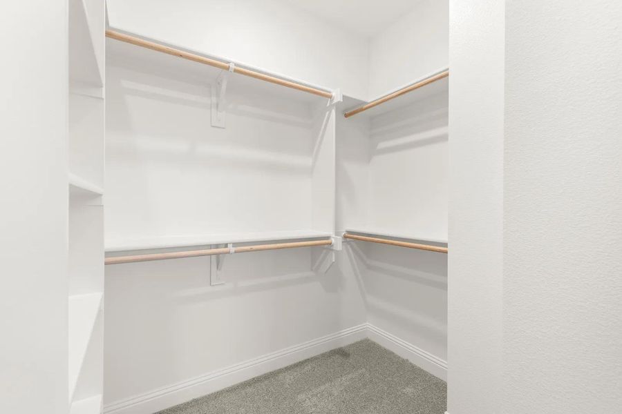 The Rutherford Primary Closet The Rutherford Primary Closet