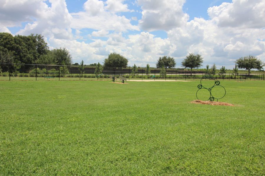 Natural landscape and outdoor views near Del Webb Stone Creek in Ocala (Image 28).