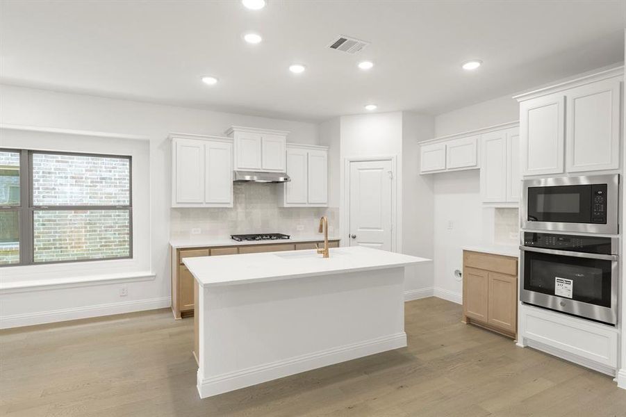 921 Apeldoorn Trail, Little Elm, TX