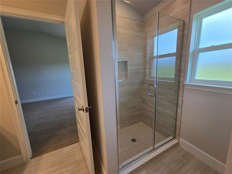 main bathroom shower