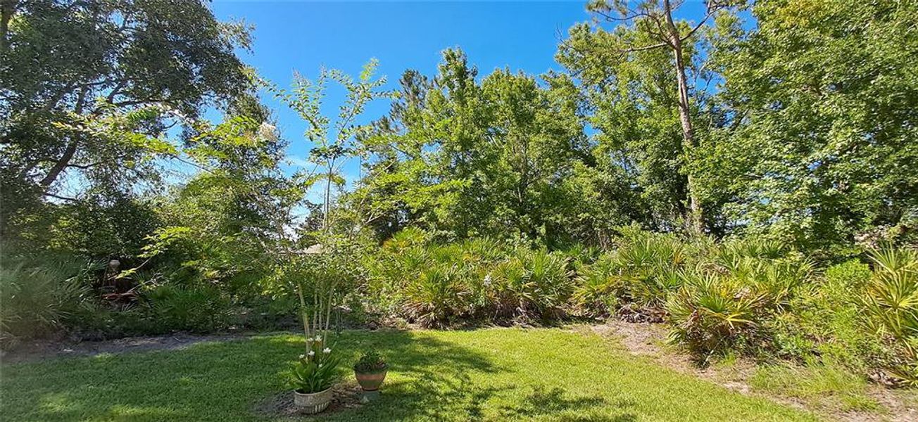 Natural landscape and outdoor views near in Palm Coast (Image 33). Natural landscape and outdoor views near in Palm Coast (Image 33).