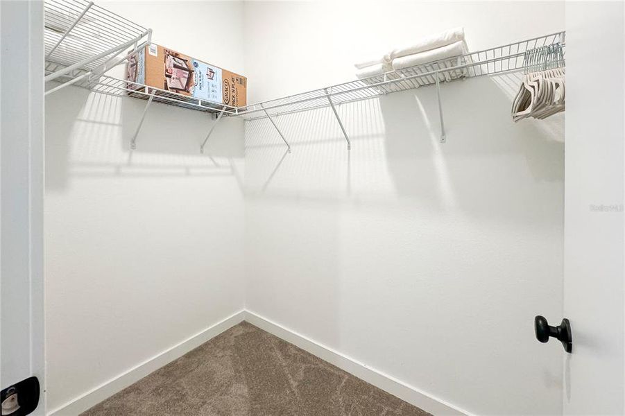 Spacious, unfurnished interior of a new home in , Kissimmee (Image 18).