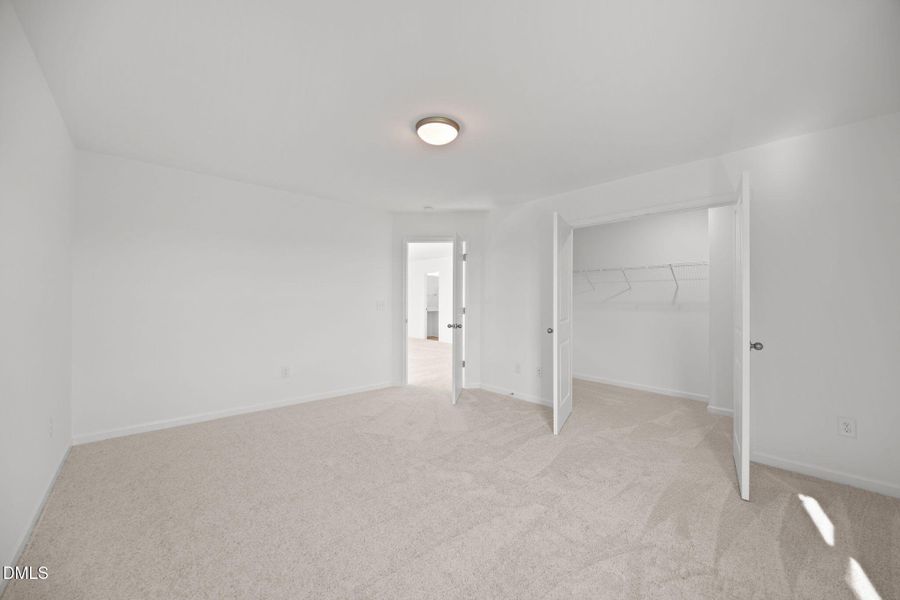 42-web-or-mls-IMG_5185