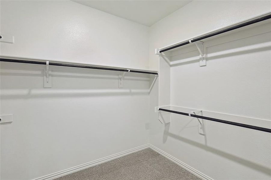 Spacious closet featuring carpet floors