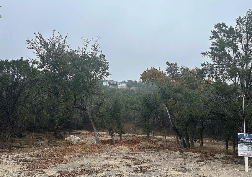 Expansive undeveloped lot featuring mature trees and natural ground cover
