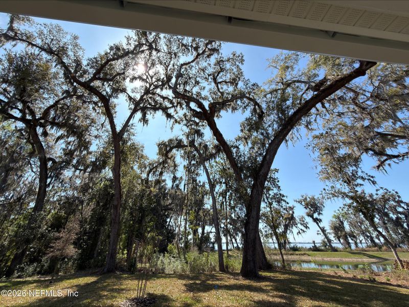 Natural landscape and outdoor views near  in St. Johns (Image 31).