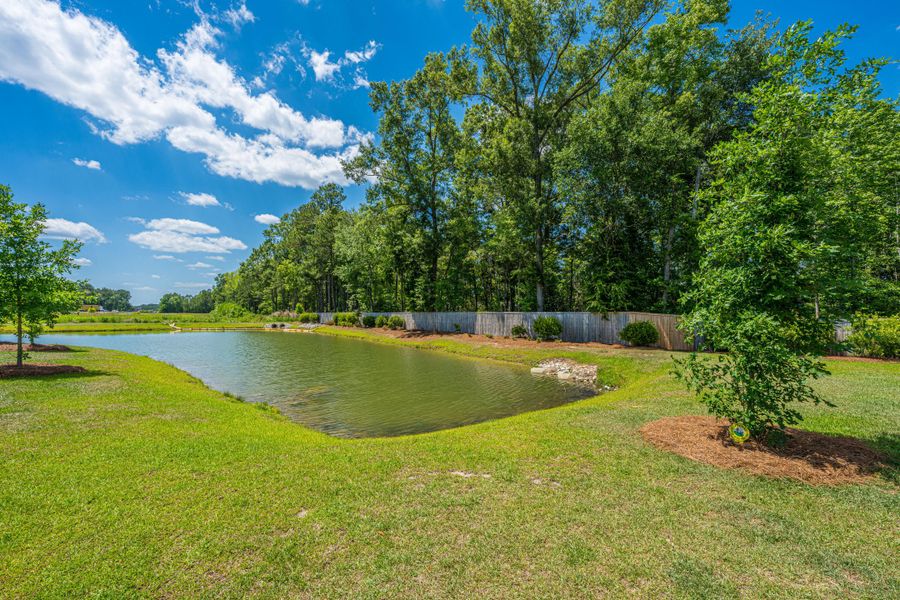 Natural landscape and outdoor views near  in Summerville (Image 34).