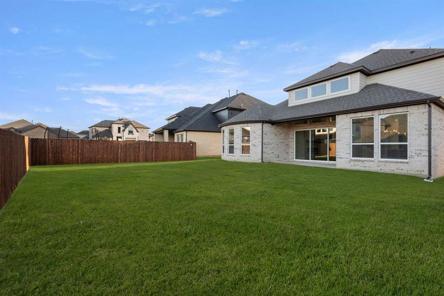 2_2115 Birdwatch- Back-1