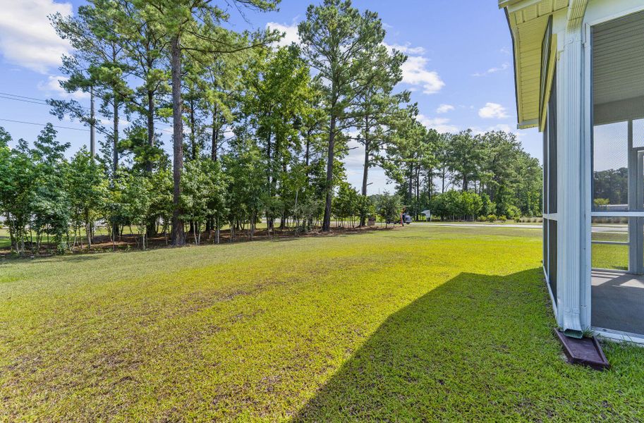 Exterior details and patio area of a home in The Groves of Berkeley, Moncks Corner (Image 25).