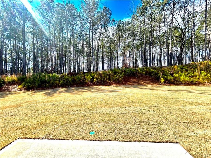 Natural landscape and outdoor views near  in Locust Grove (Image 36).