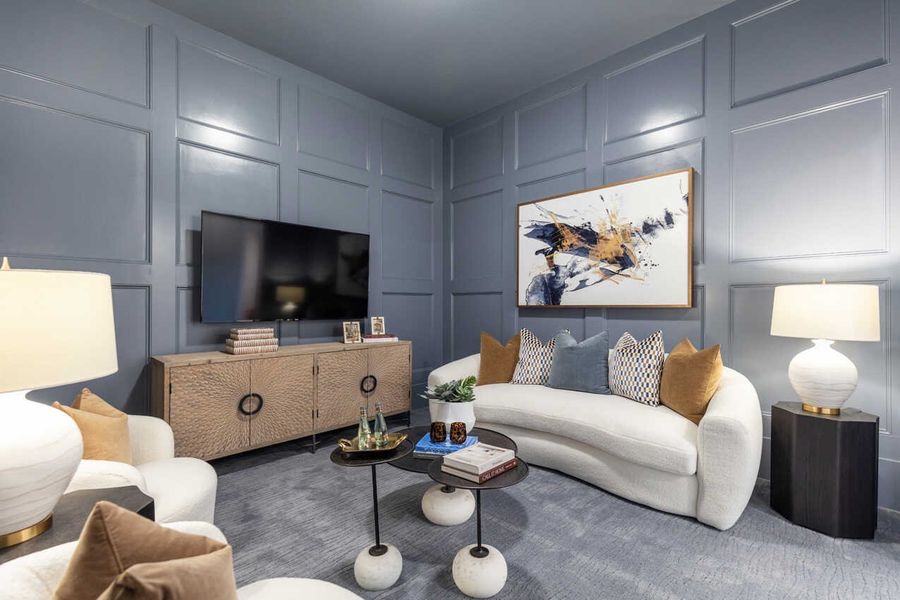 Representative Entertainment Room - some options shown Representative Entertainment Room - some options shown