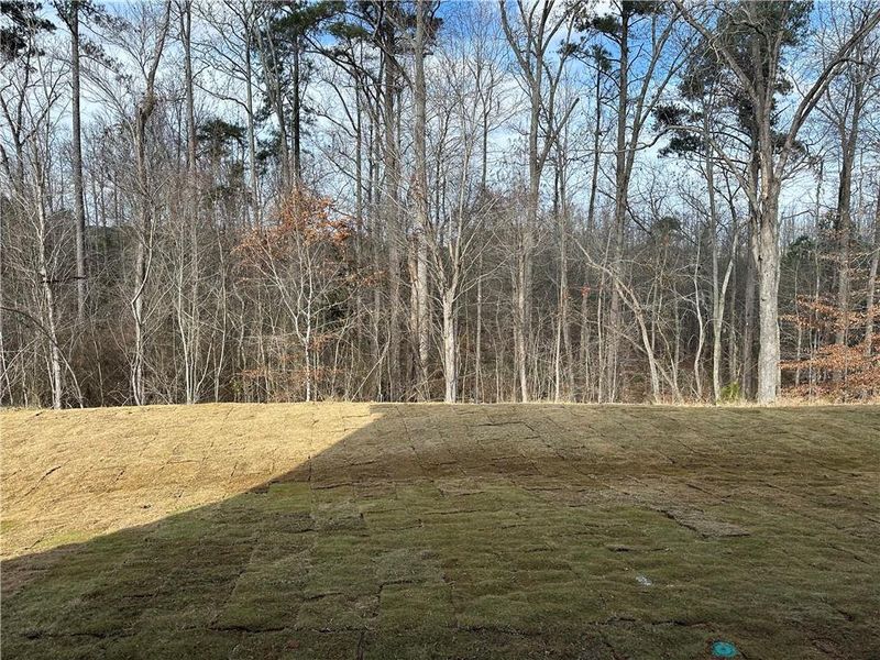 Natural landscape and outdoor views near Millstone at Mundy Mill in Gainesville (Image 37).