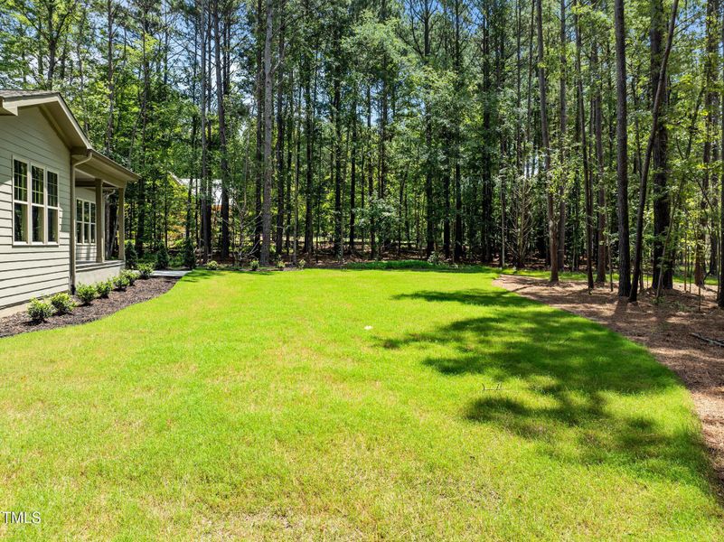 55-web-or-mls-DJI_0876