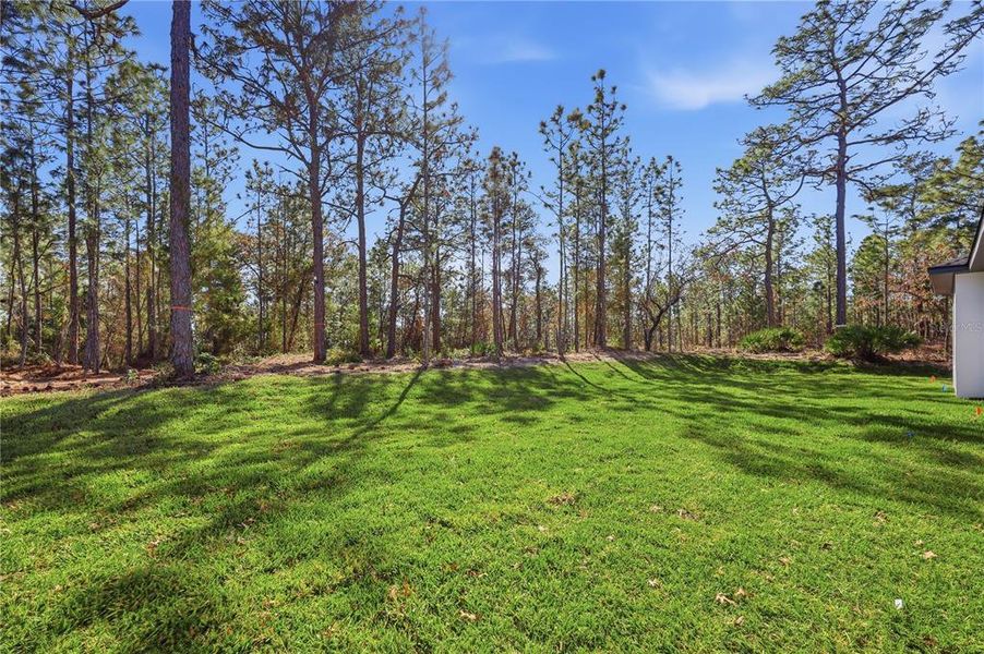 Natural landscape and outdoor views near  in Wildwood (Image 50).