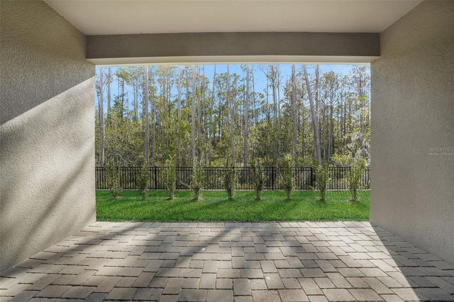 Exterior details and patio area of a home in Palms at Windermere, Windermere (Image 22).