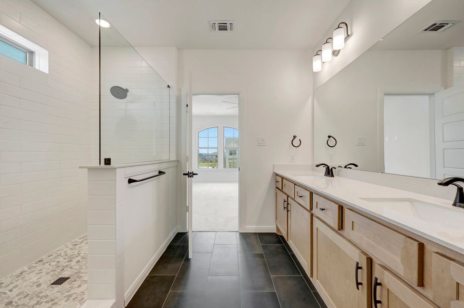 Owner's Bath