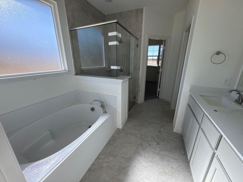 Bathroom featuring a garden tub, vanity, and a stall shower