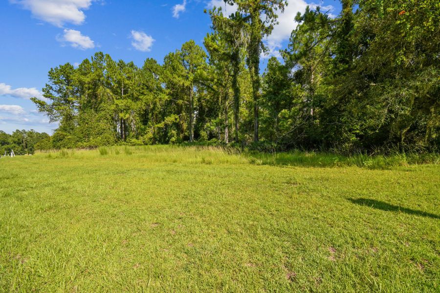 Natural landscape and outdoor views near Southern Hills Plantation in Brooksville (Image 80).