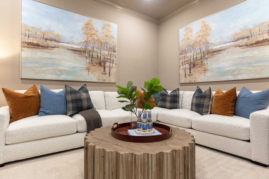 Entertainment Room