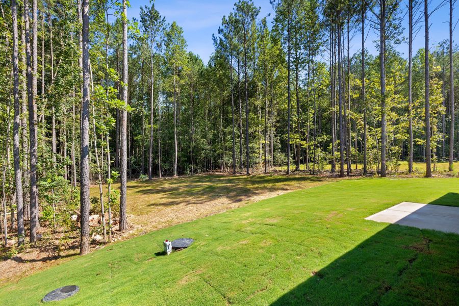 Outdoor and nature views near homes built from the The Bradley by RobuckHomes in Baylee Ridge, Selma (Image 200). Outdoor and nature views near homes built from the The Bradley by RobuckHomes in Baylee Ridge, Selma (Image 200).