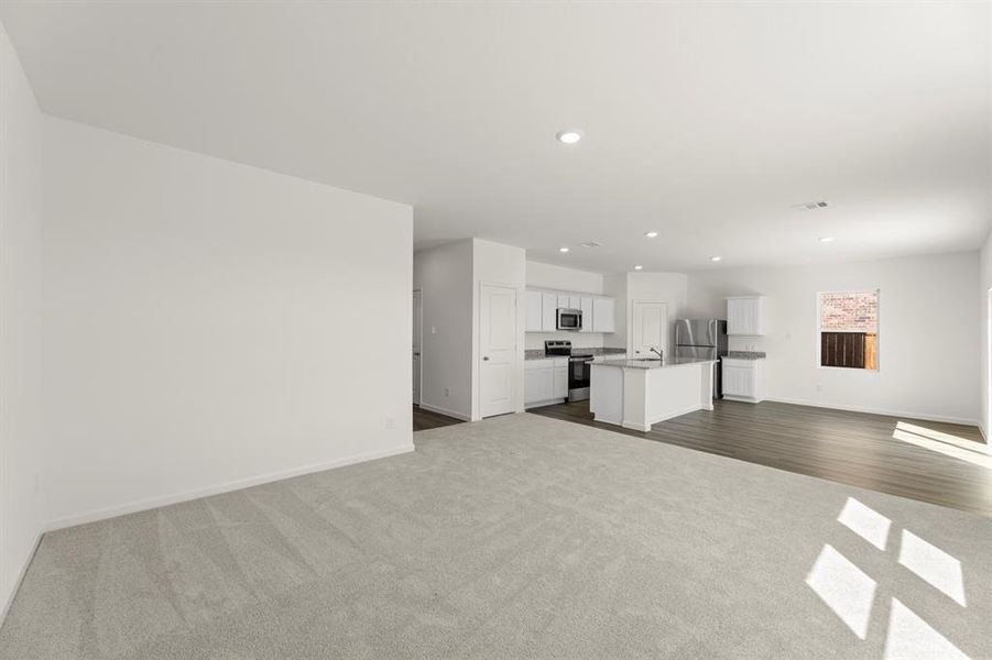 07. 1249 Herring - Family (2) 07. 1249 Herring - Family (2)