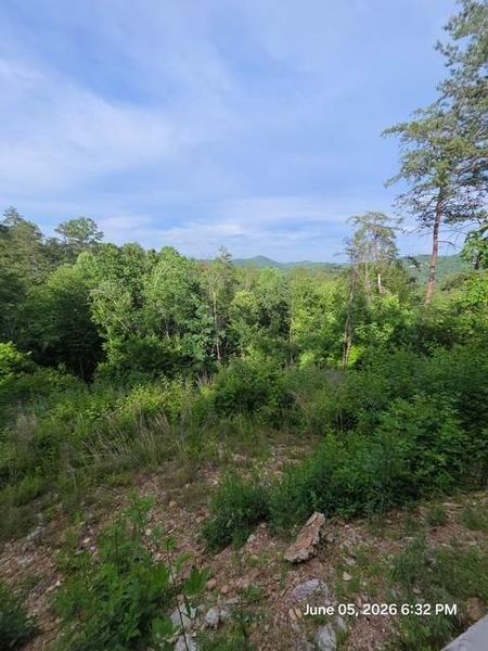 Natural landscape and outdoor views near in Mineral Bluff (Image 10). Natural landscape and outdoor views near in Mineral Bluff (Image 10).