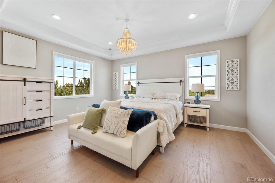 Primary Bedroom with Fireplace