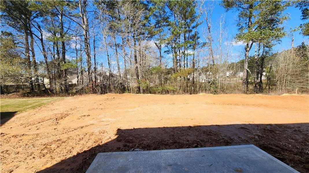 Image 41 of a home in The Estates at Casteel.
