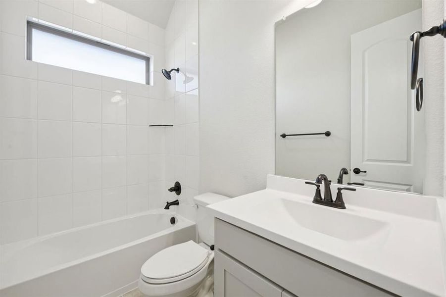 7-1016Sunflower_007 7-1016Sunflower_007