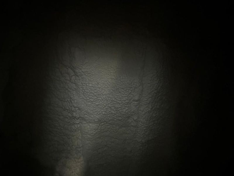 Image quality insufficient for description