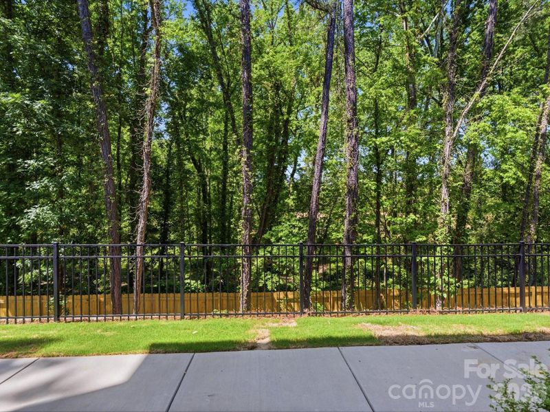 Natural landscape and outdoor views near Central Living at Craig in Charlotte (Image 28).